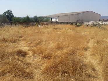 Terreni e lotti in vendita a Peñarroya-Pueblonuevo