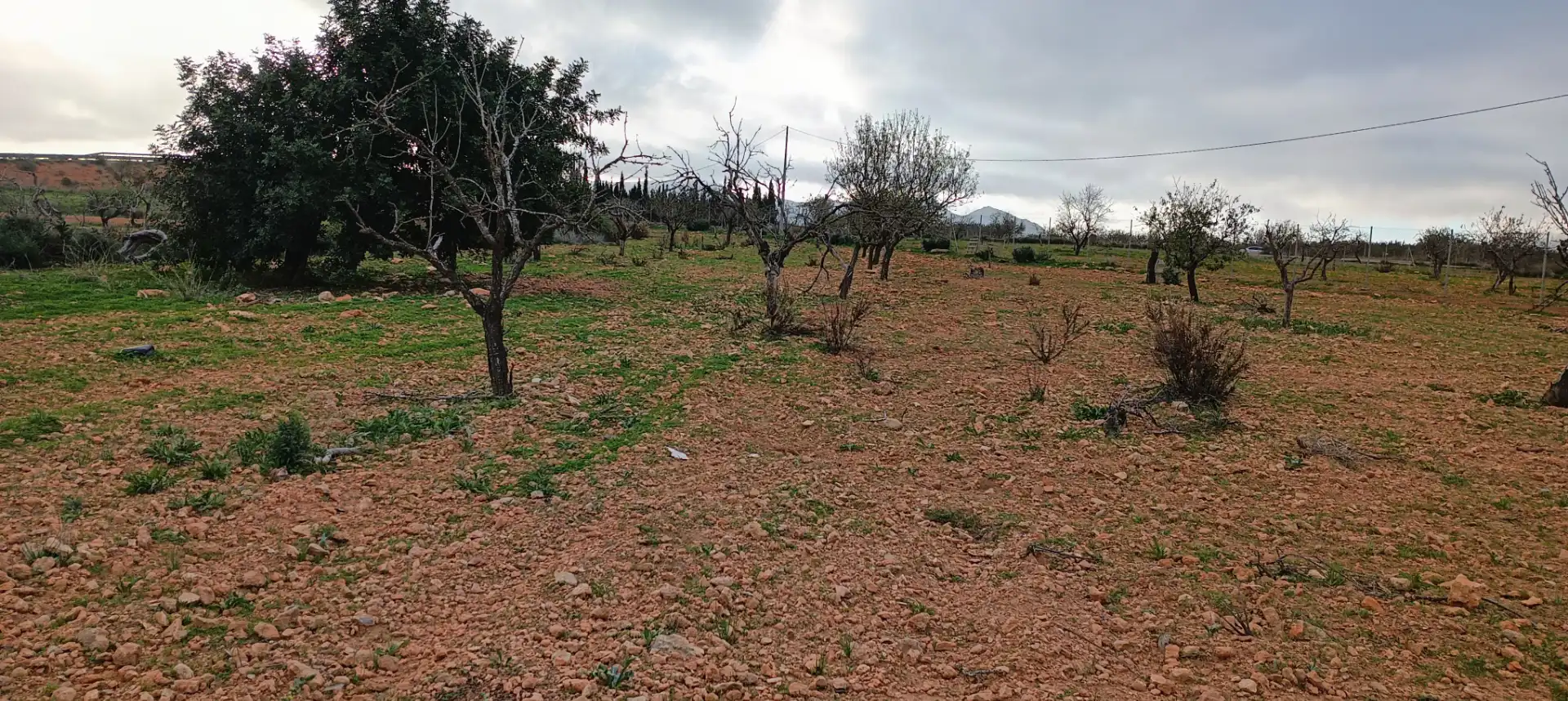 Terrenys i solars en venda a Pedanías Oeste, imagen 4