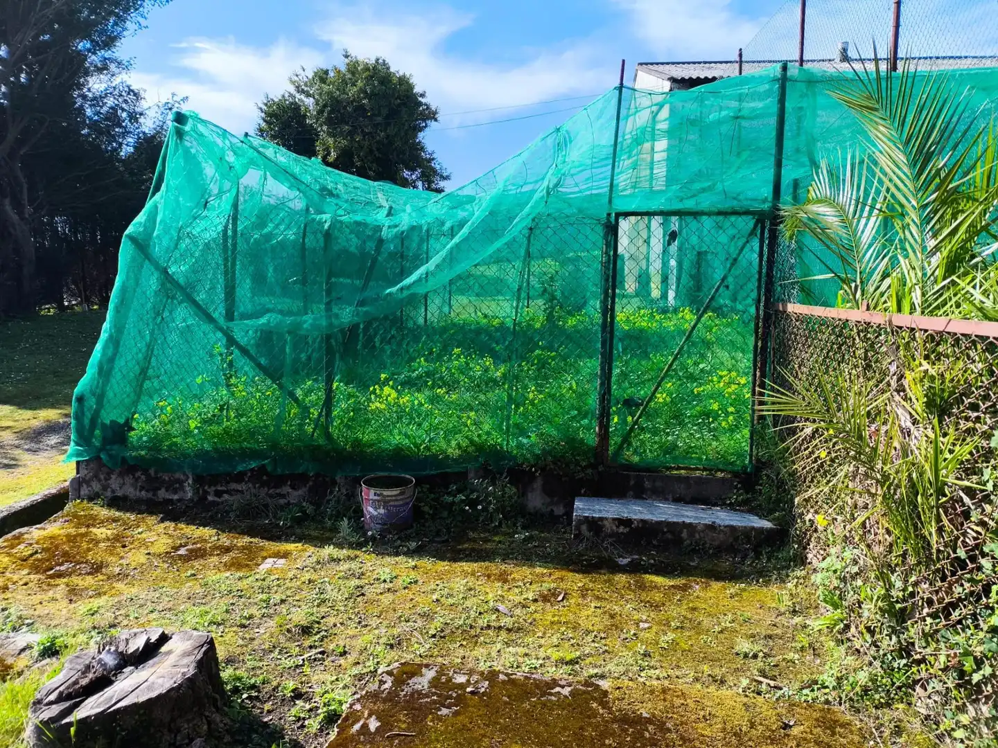 Garten von Fabrikhallen zum Verkauf in Arteixo