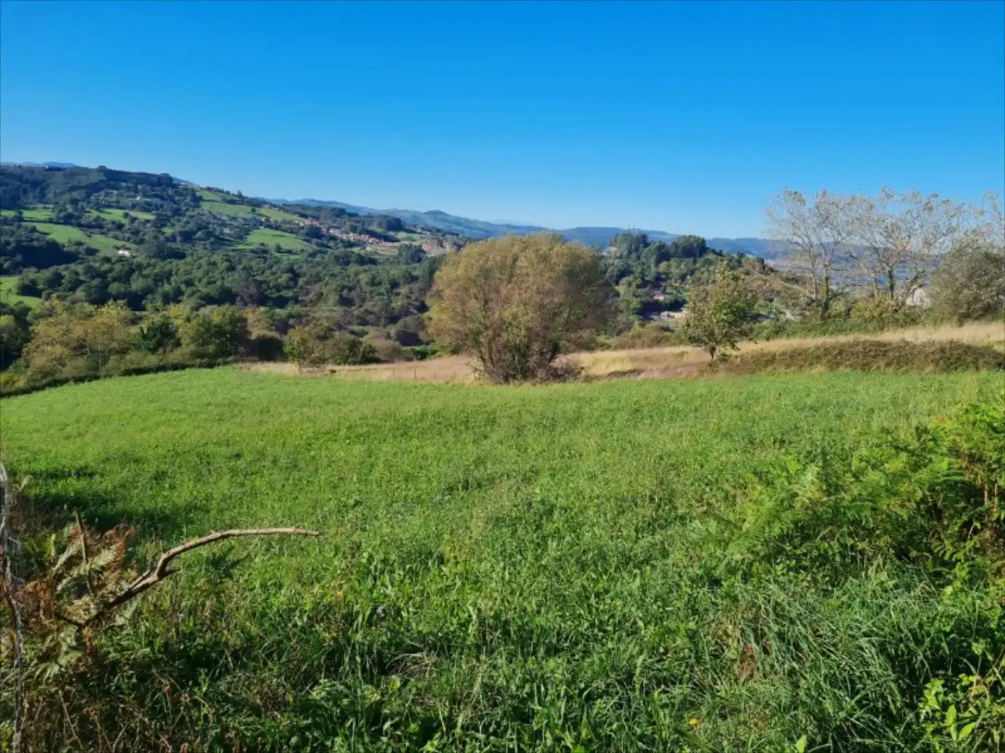 Terreny residencial en venda a El Callejo - La Pesquera - La Arenosa, imagen 5