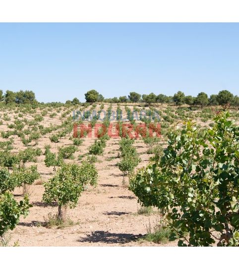 Photo 2 of Country homes for sale in Plaza Generalisimo del, Belvís de Monroy, Cáceres