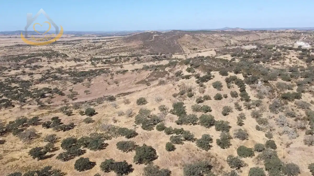 Terreni e lotti in vendita a Puebla de Guzmán, imagen 3