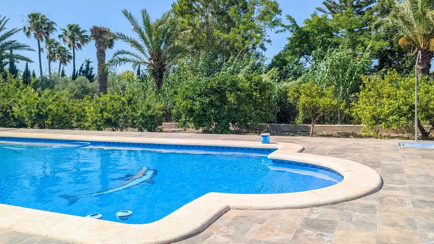 Piscina de Casa o xalet en venda en Elche / Elx amb Aire condicionat, Jardí privat i Terrassa