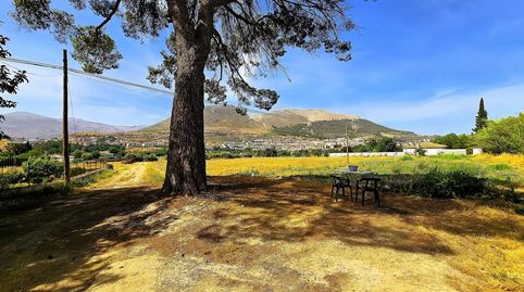 Finca Rústica con Casa de Campo, immagine 4