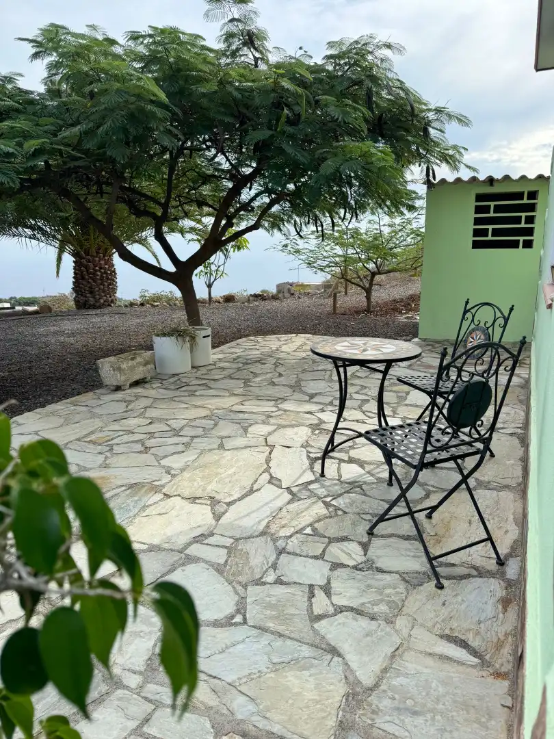 Terrace of Country homes for rent in Güímar