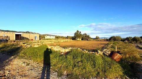 Foto 4 de Finca rústica en venta en Nord, La Ràpita