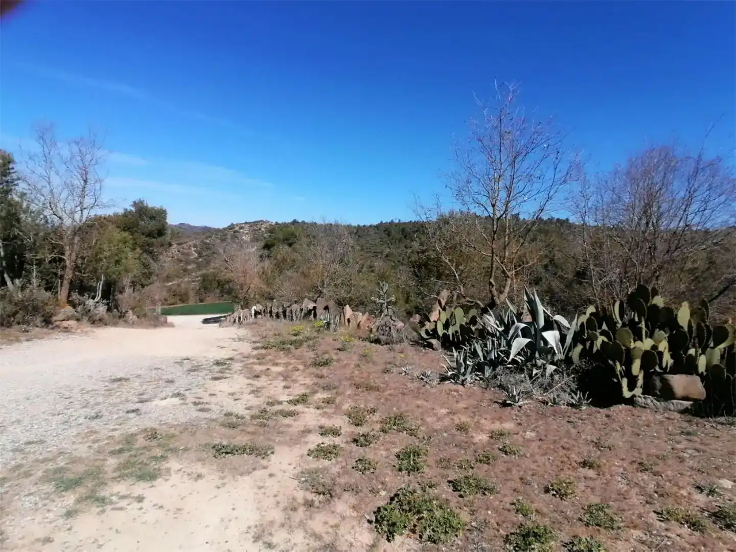 Land for sale in Torà, Lleida