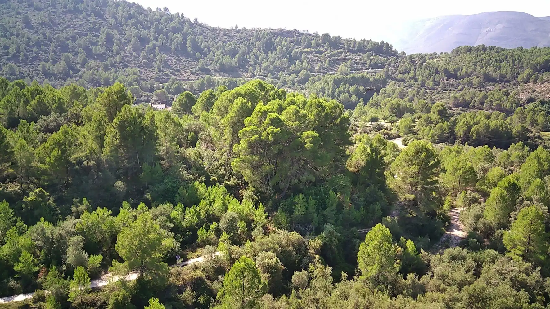 Terrenys i solars en venda a Orba, imagen 3