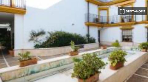 Photo 5 of Apartment to share in Arenal - Museo,  Sevilla Capital