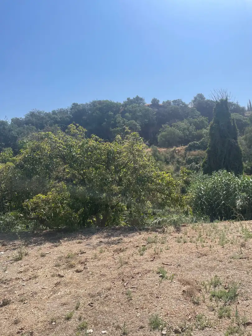 Terreni e lotti in vendita a Coín, imagen 15