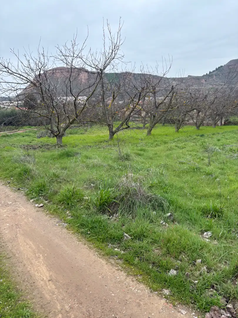 Terreno rústico en venta en Albelda de Iregua, imagen 11