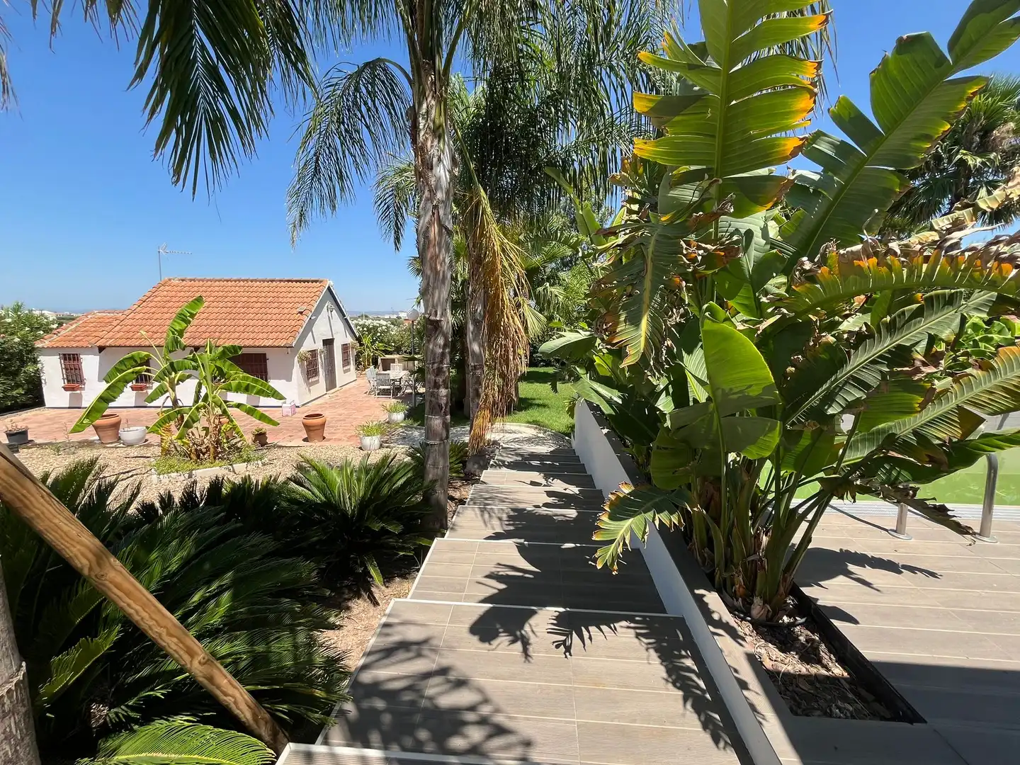 Jardí de Casa o xalet en venda en Fuente Palmera amb Aire condicionat, Calefacció i Jardí privat