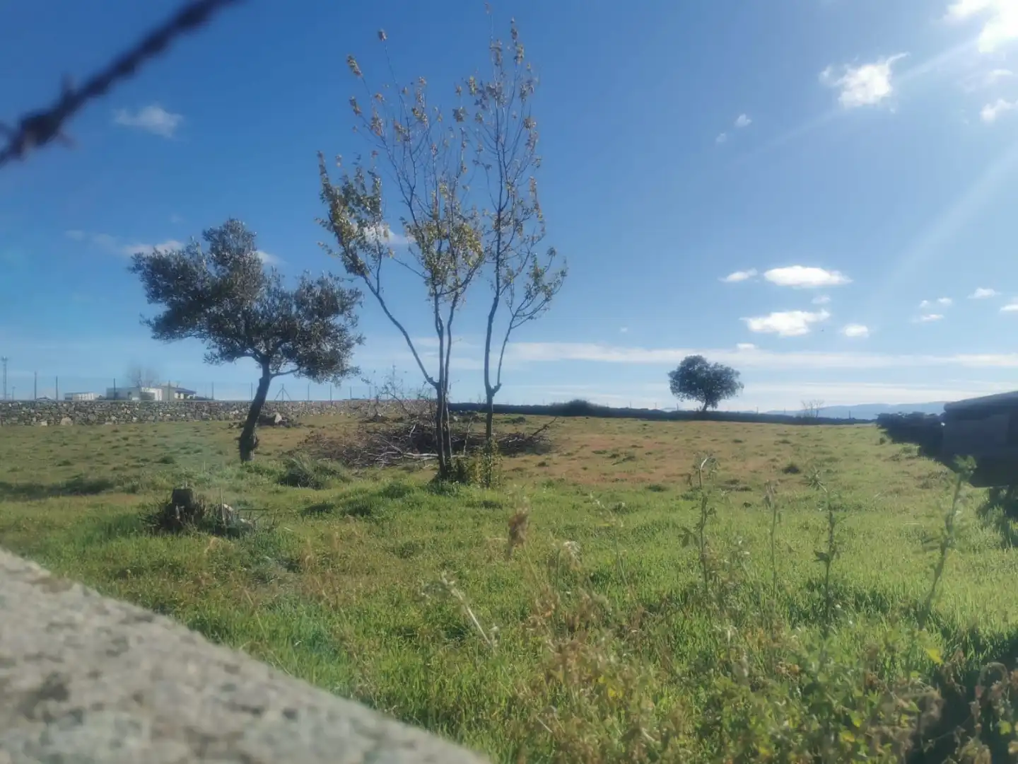 Land for sale in Cespedosa de Tormes