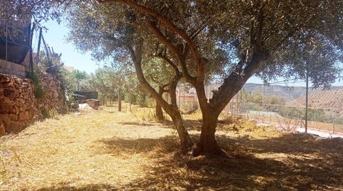 TERRENO URBANO EN EL CENTRO DE CELÍN