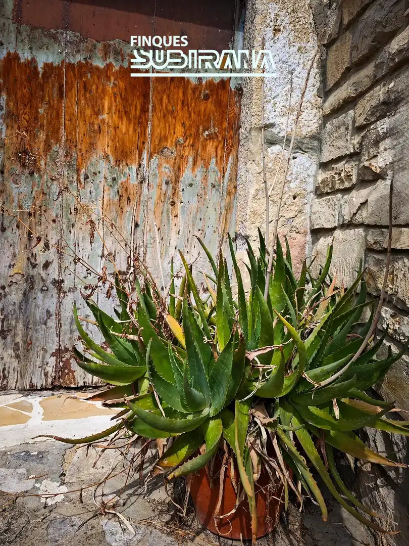 Jardín de Casa o chalet en venta en Guimerà con Terraza y Balcón