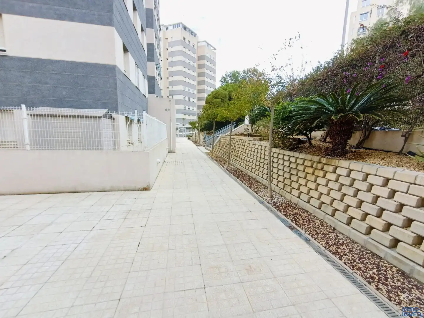 Apartamento de alquiler en Camí de Fondo, 3, Playa Muchavista