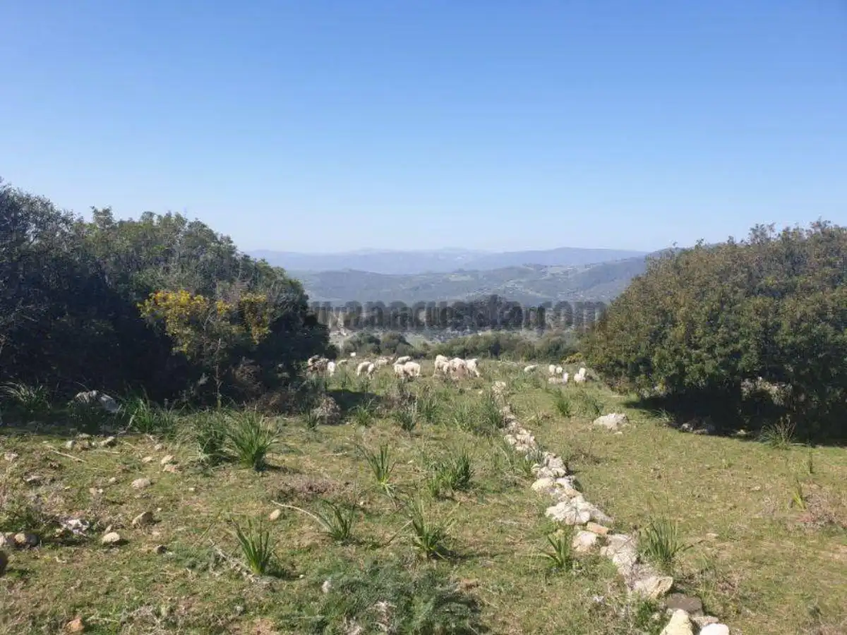 Residencial en venda a Casares, Málaga