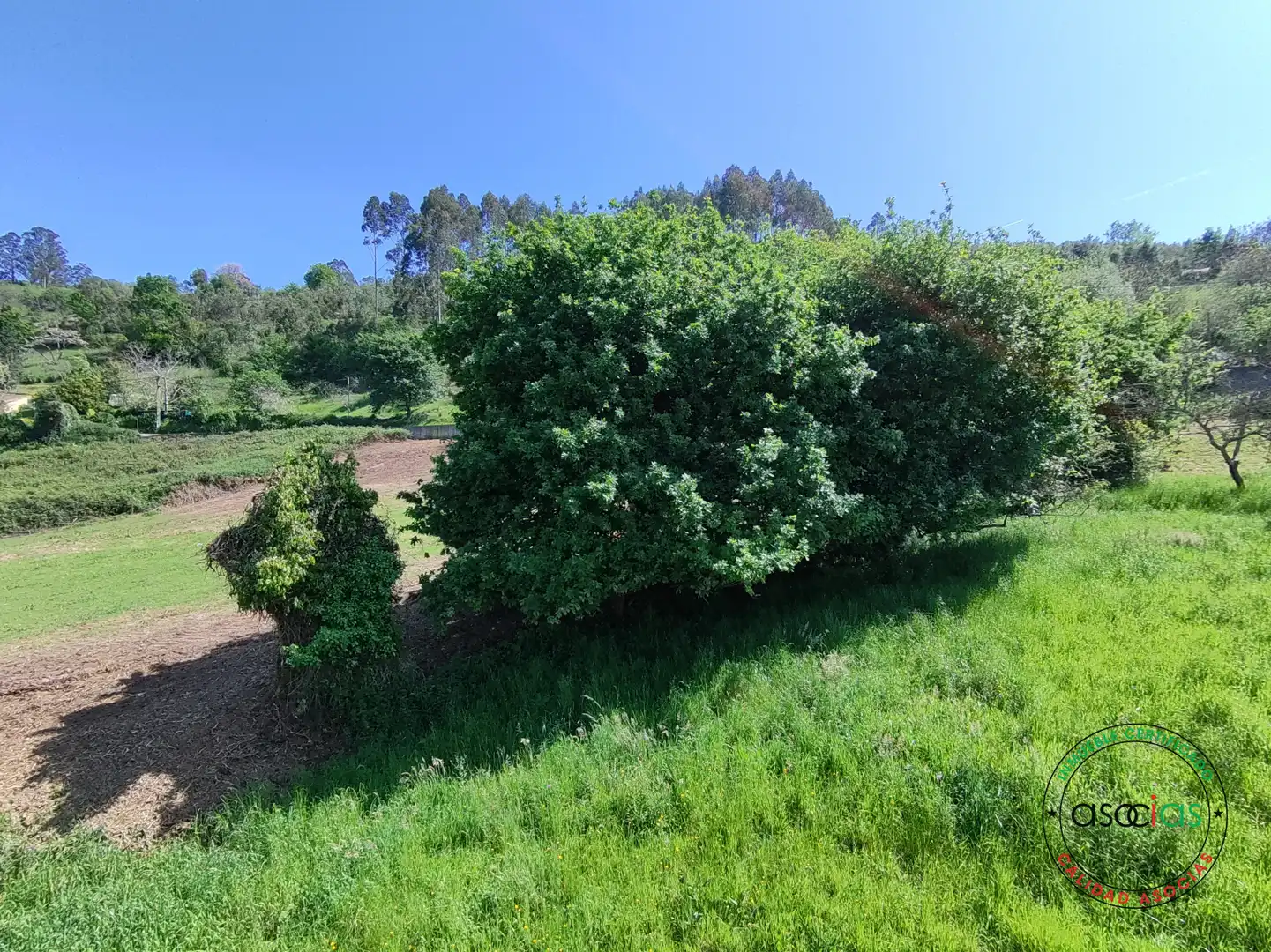Terreno rustico in vendita a Rural, imagen 28
