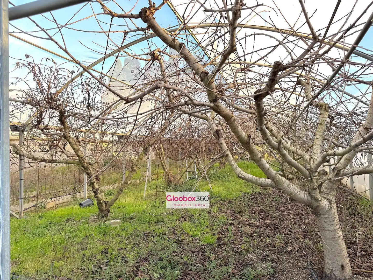 Terrenys i solars en venda a Camino Riudoms 43, imagen 93
