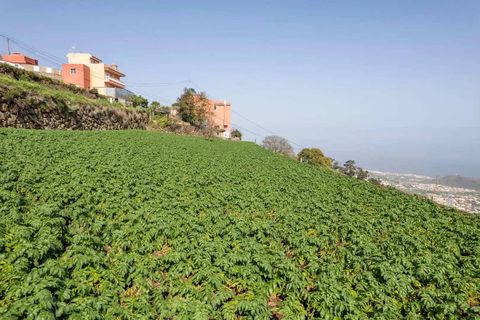 Casa o chalet en venta en La Orotava con Jardín privado, Terraza y Trastero