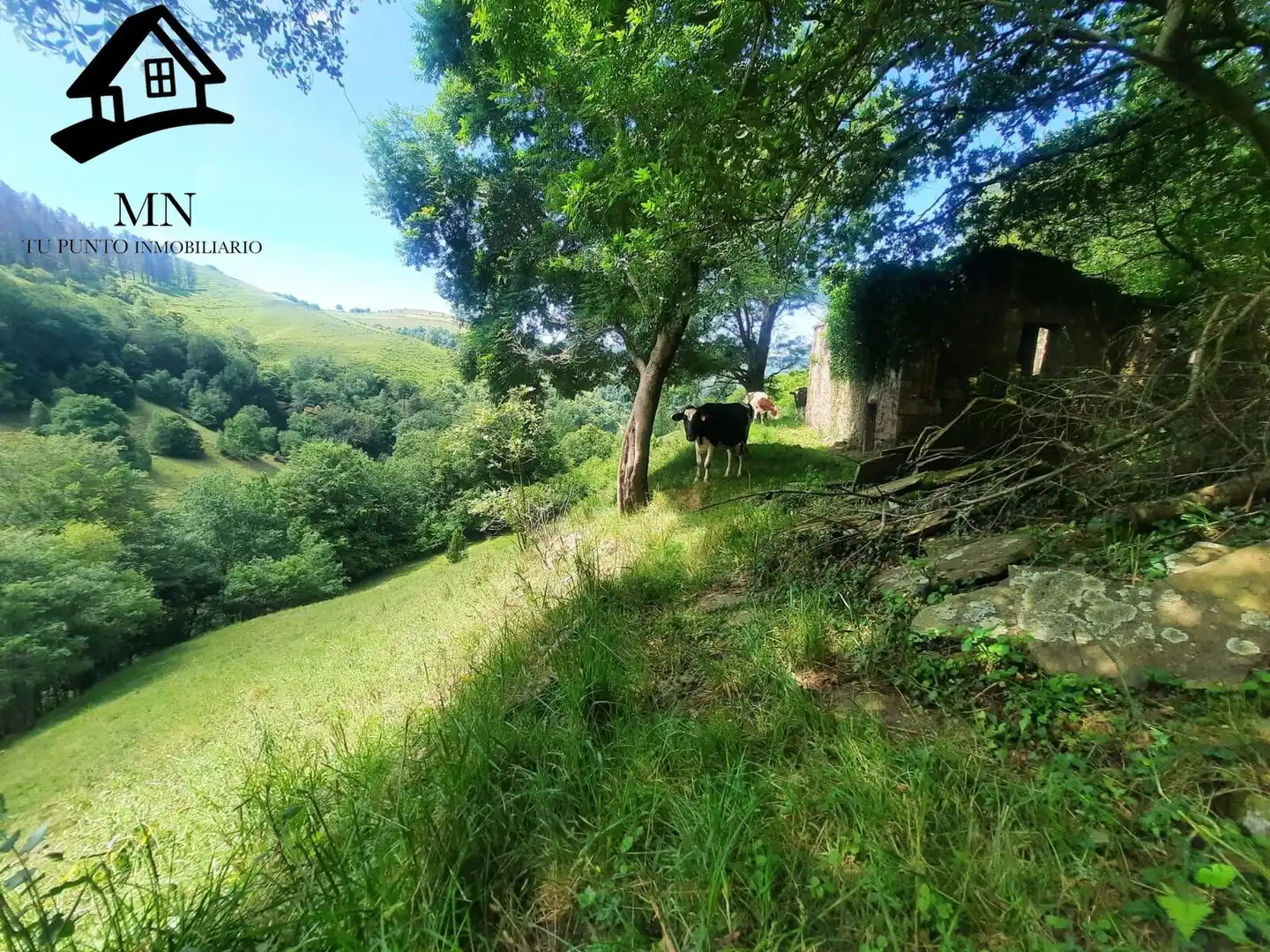 Country homes for sale in Selaya