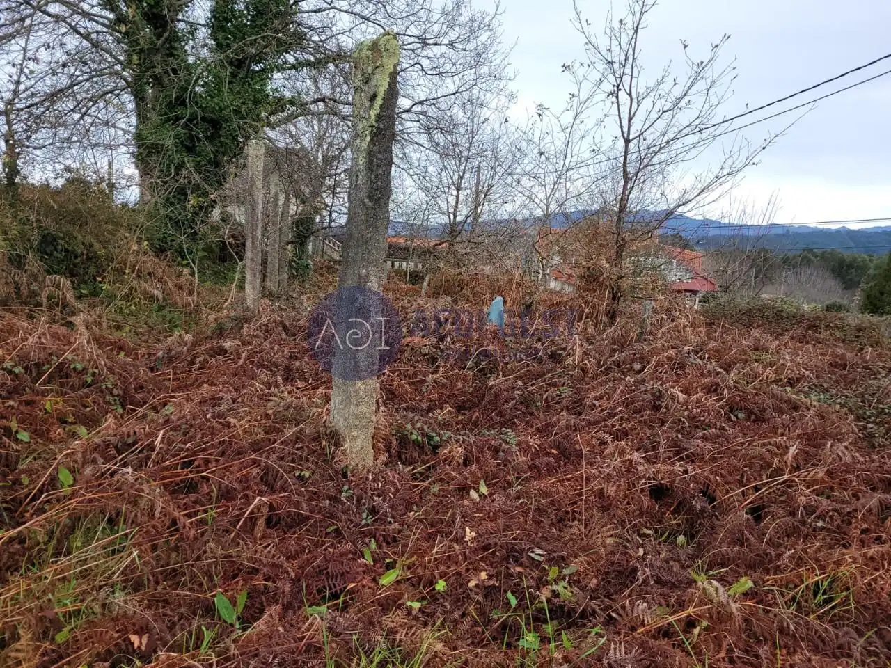 Wohnbaugrundstück zum Verkauf in Lugar Nogueira, imagen 2