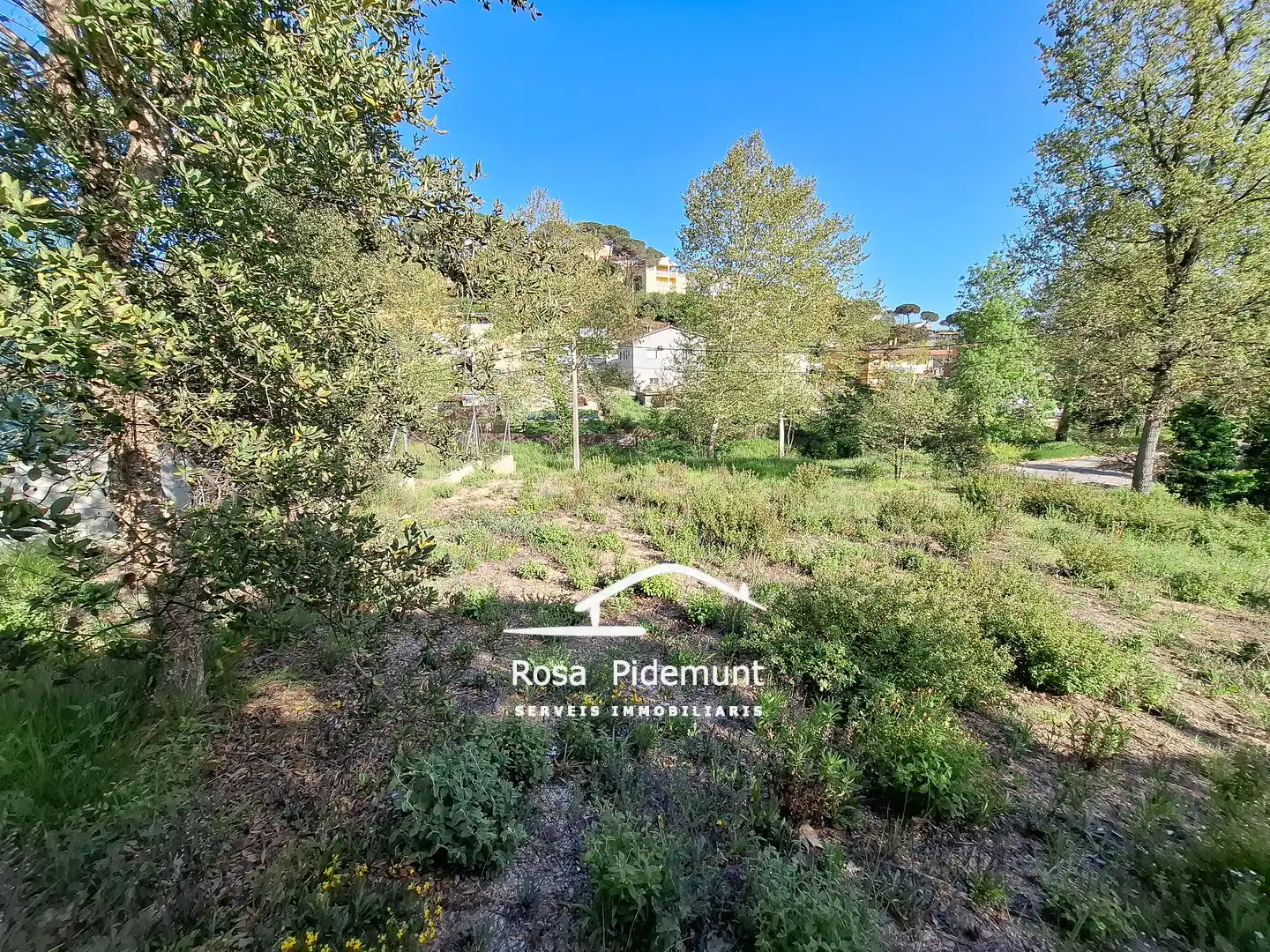 Residential land for sale in Avinguda Arbres, imagen 5