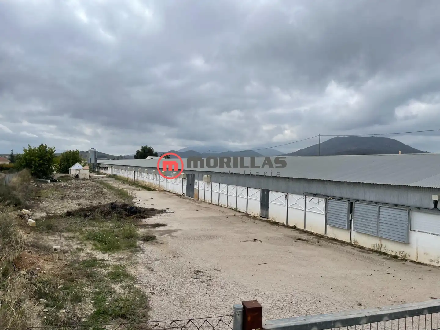 Chalet con jardín en venta en Bullas, imagen 4