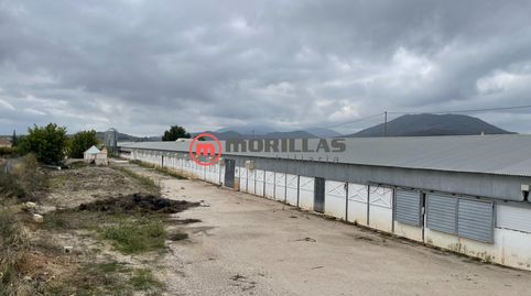 Vivienda Unifamiliar y Explotación Avícola en Bullas, imagen 4