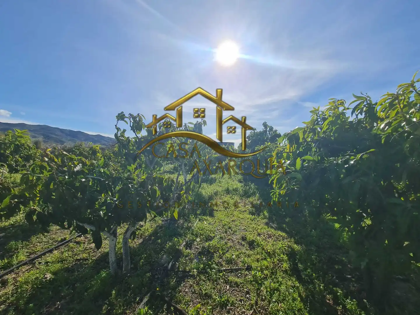 Casa rustica in vendita a Diseminado Atalaya Baja, imagen 46