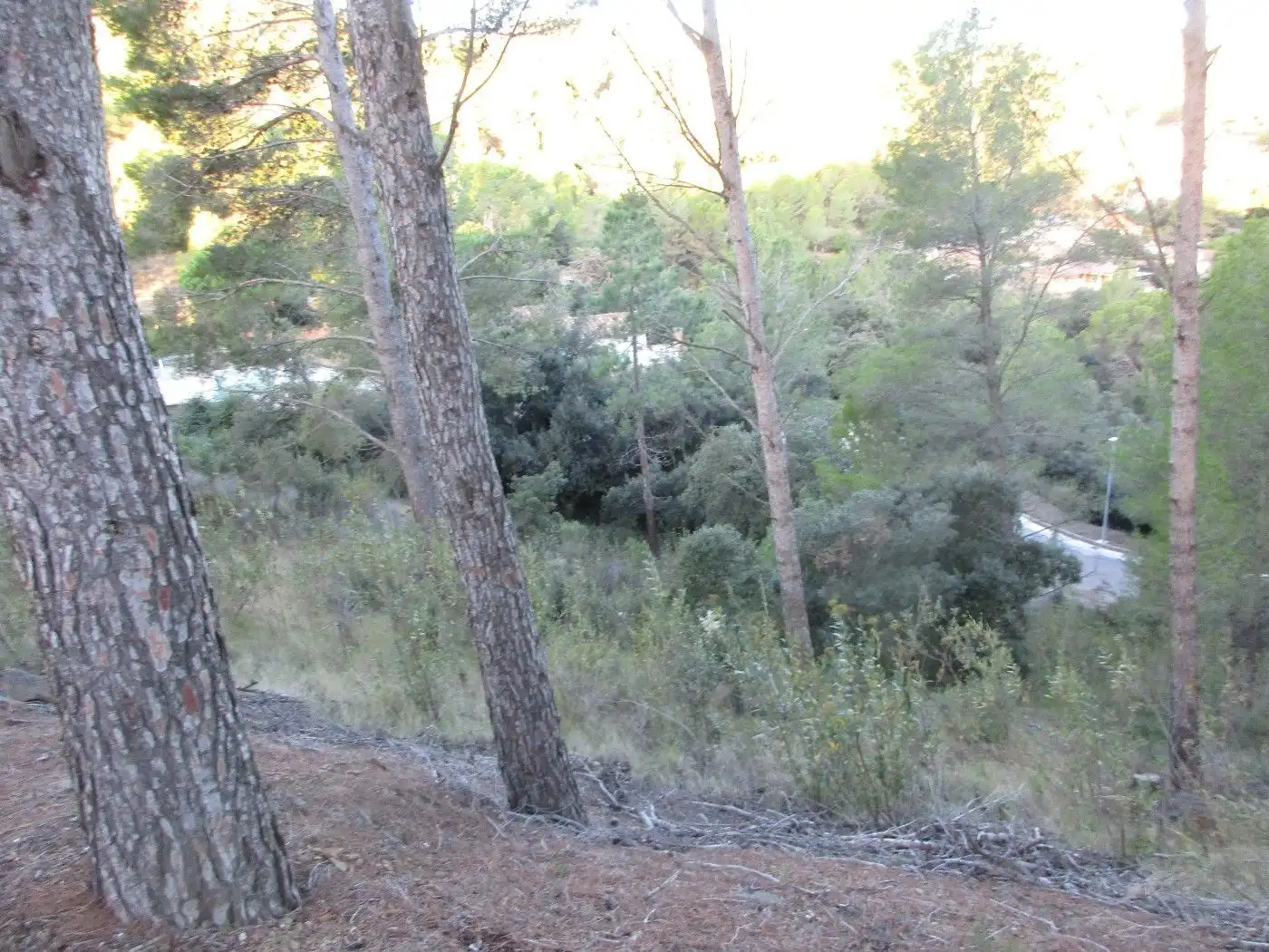 Terreno residenziale in vendita a Carrer dels Molins 65, imagen 18