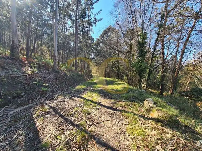Casa o xalet en venda en Villayón amb Jardí privat