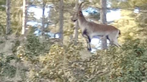 Foto 5 de Finca rústica en venda a N/a, Velefique, Almería