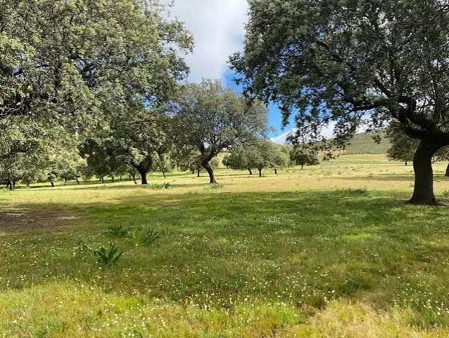 Rustikales Grundstück zum Verkauf in Monesterio, imagen 5