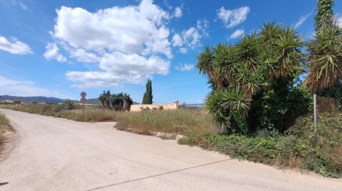 Finca Rustica Cmno. Juan Teresa  Raiguero Bajo Totana, immagine 2