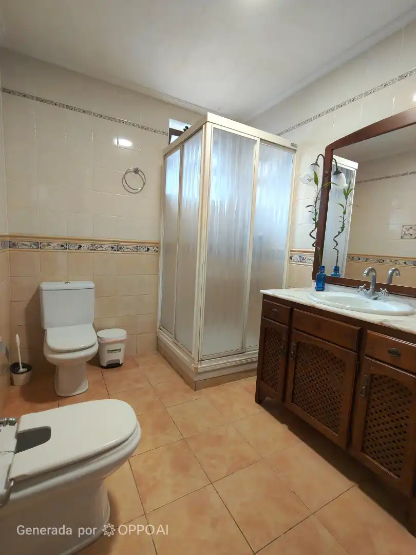 Baño de Casa o chalet en venta en Burriana / Borriana con Jardín privado, Parquet y Terraza
