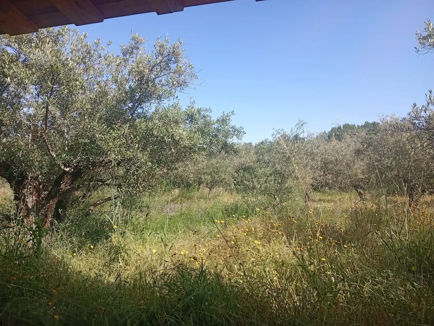 Maison à vendre à Villanueva de la Vera, imagen 92