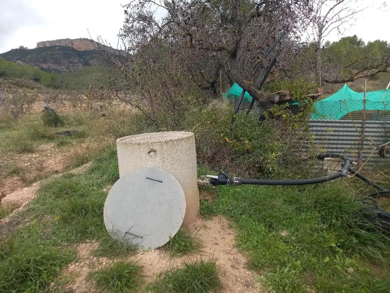 Rural land for sale in El Pinell de Brai, imagen 2