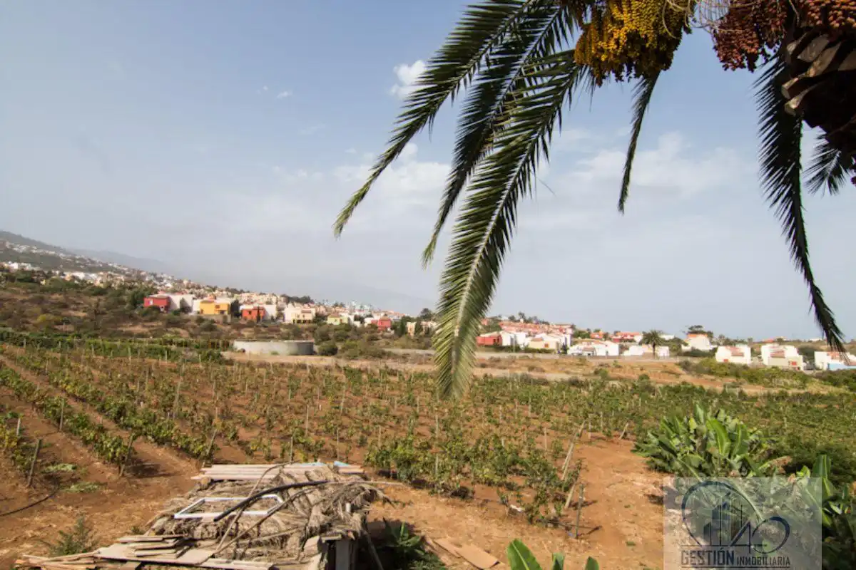 Finca rústica en venda en Santa Úrsula amb Terrassa i Balcó