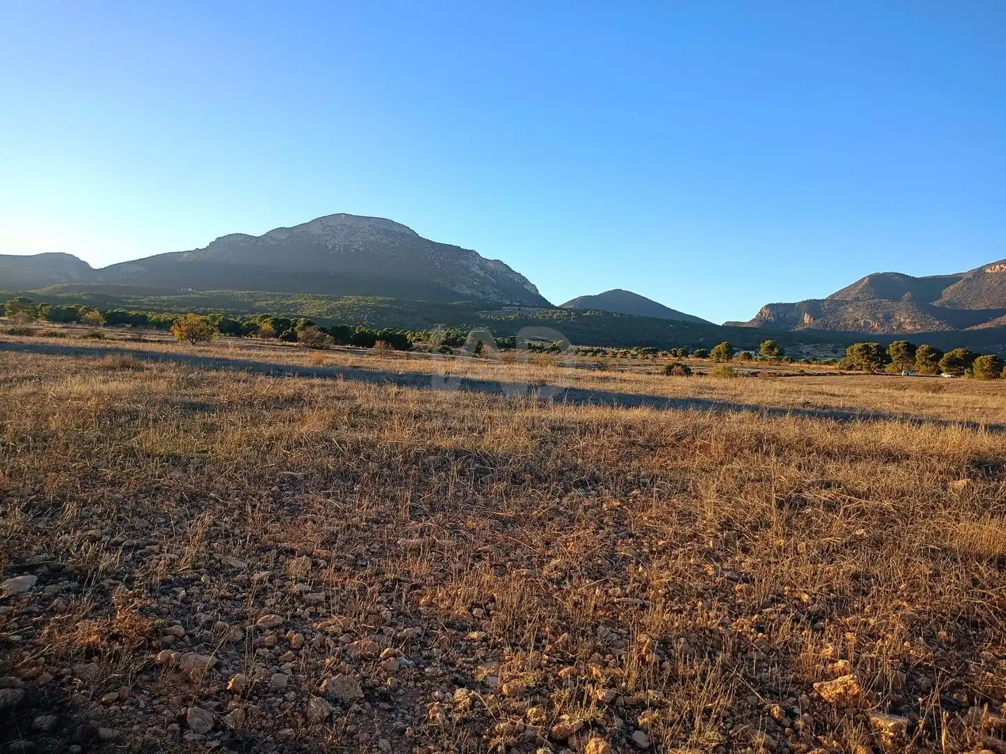 Terreno en venta en Lorca