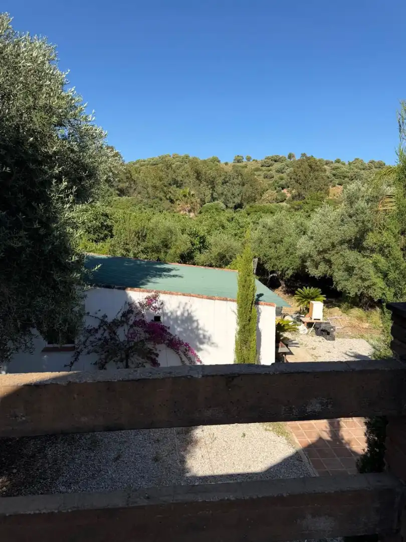 Casa rústica amb piscina en venda a San Martín del Tesorillo, imagen 32
