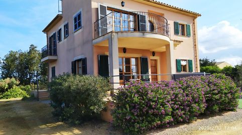 Finca rústica con cédula en Sa Pobla, imatge 2