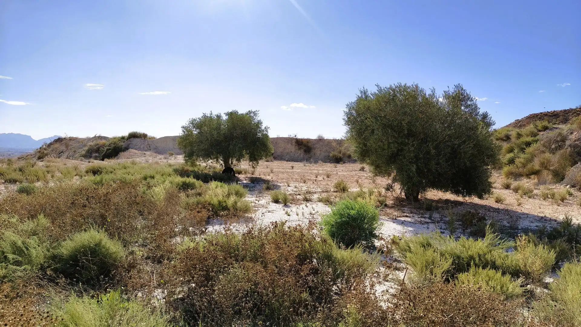 Rural land for sale in Fortuna, imagen 8