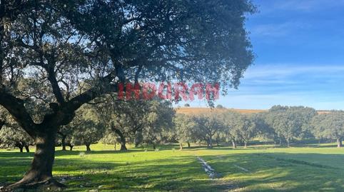 Photo 5 of House or chalet for sale in N/a, Deleitosa, Cáceres