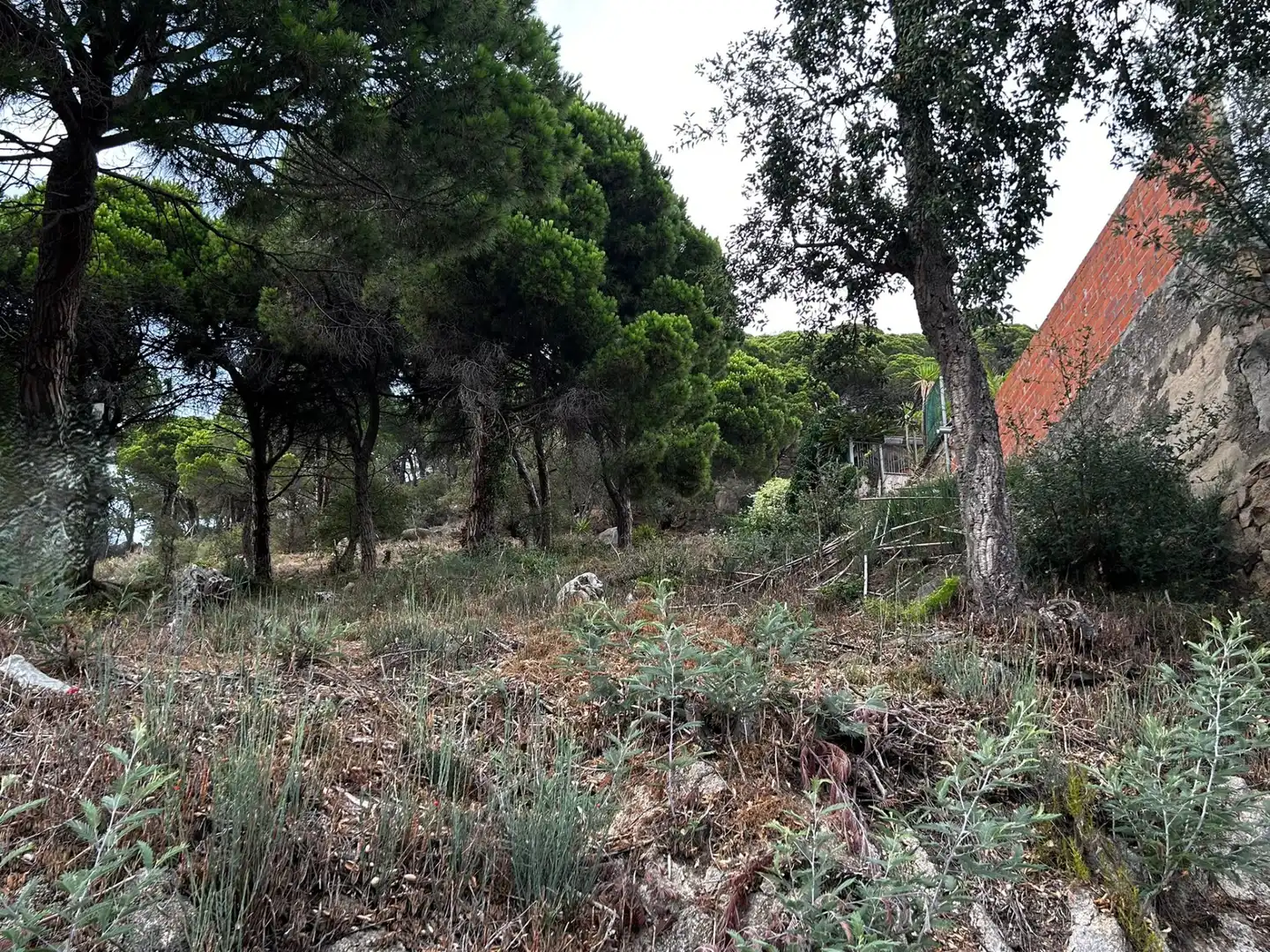 Terreno residencial en venta en Roca Grossa, imagen 6