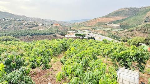 Photo 4 of House or chalet for sale in Viñuela, Málaga