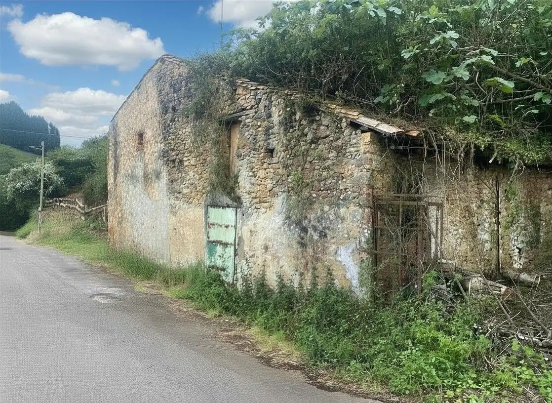 Vista exterior de Casa o chalet en venta en Gijón  con Jardín privado