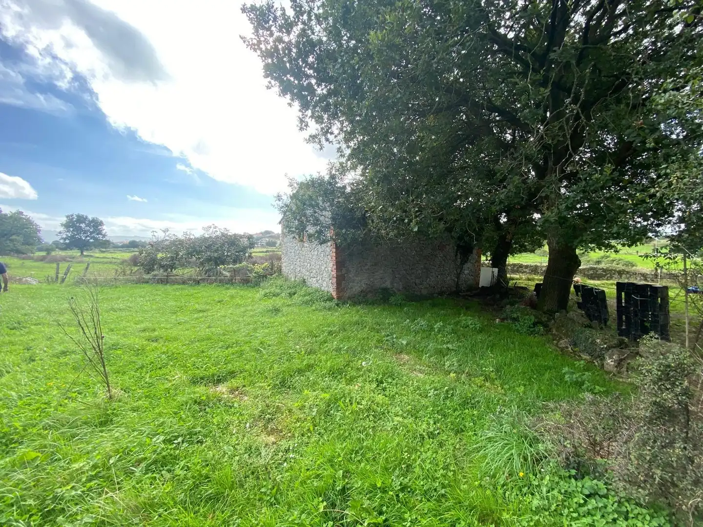 Finca rústica en venta en Argoños