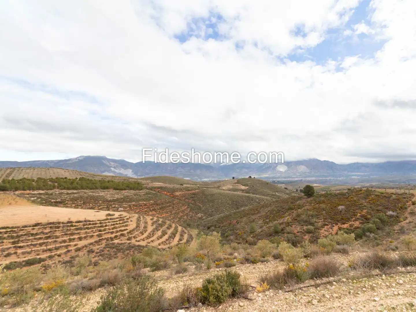 Finca rústica en venda en Villamena amb Jardí privat, Piscina i Moblat