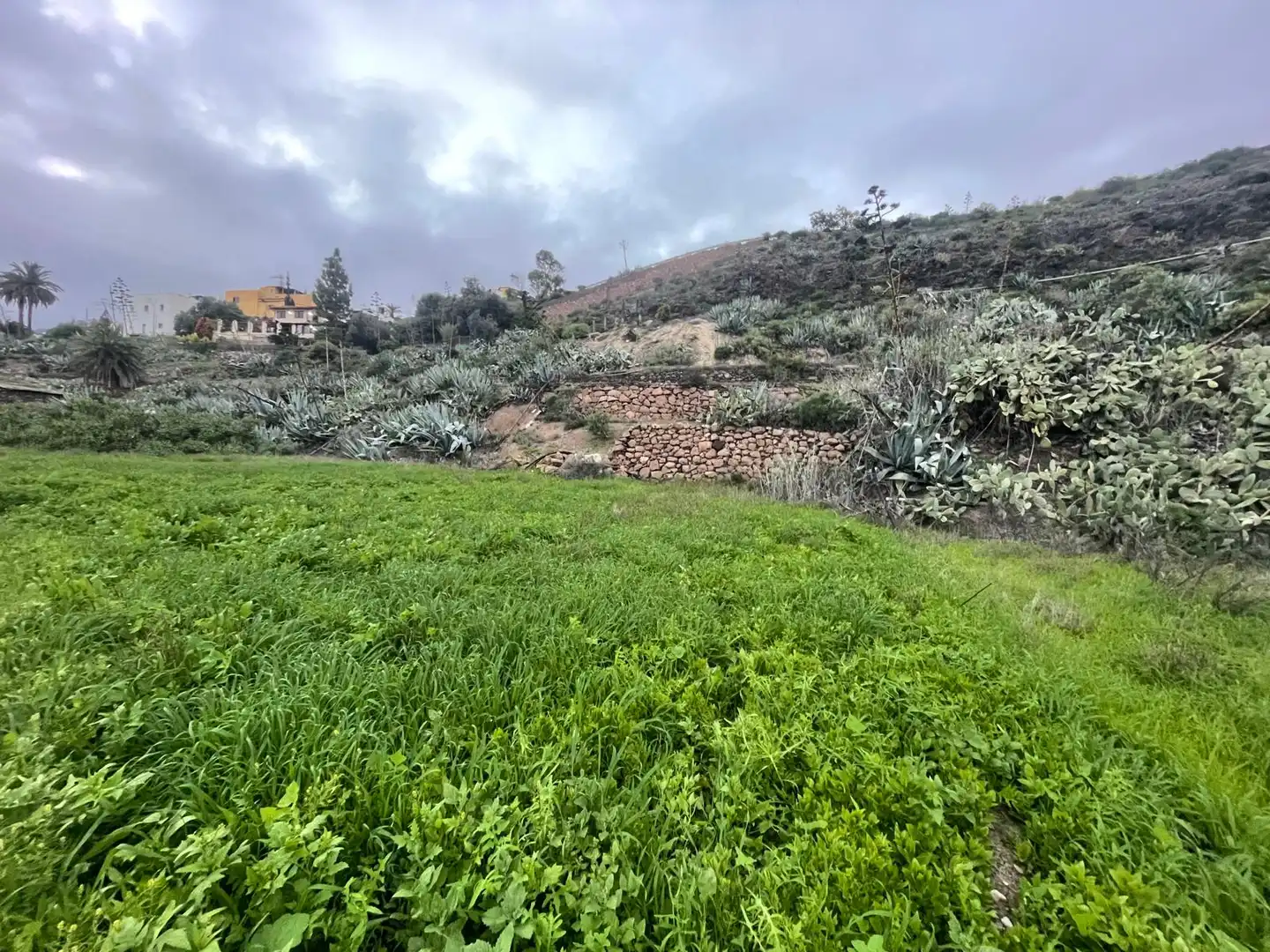 Terreno en venta en Valsequillo de Gran Canaria